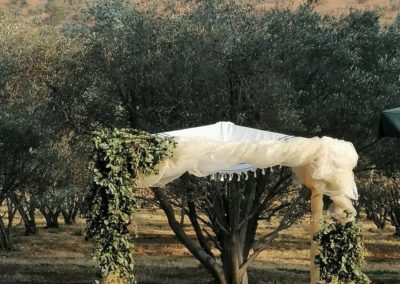 WhatsApp Image 2020-01-30 at 10.29.46